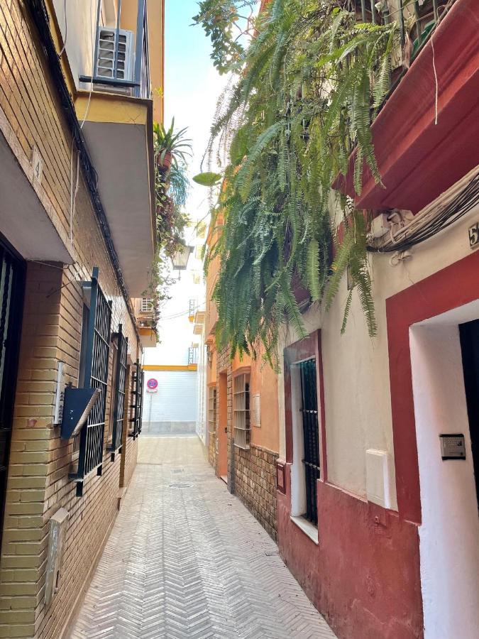 塞维利亚Barrio De Santa Cruz, La Juderia. Zona Inmejorable公寓 外观 照片